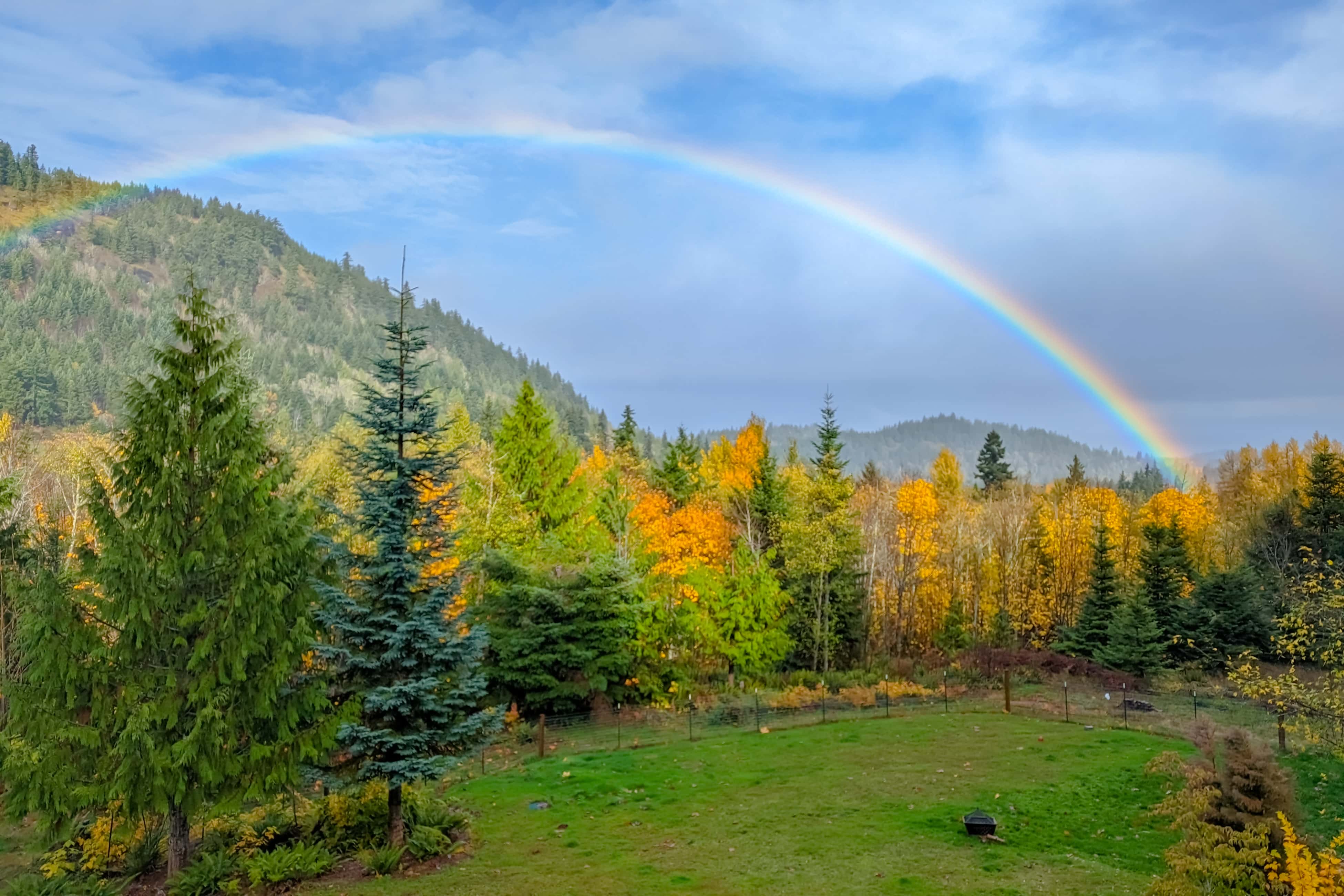 Greer's Outlook