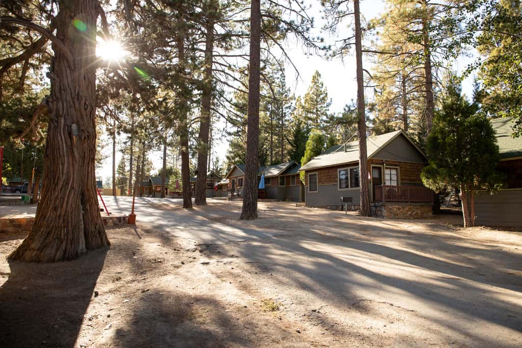 Sunset #101