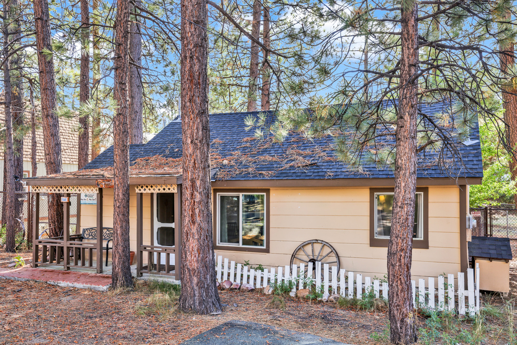 1438-Pines 23