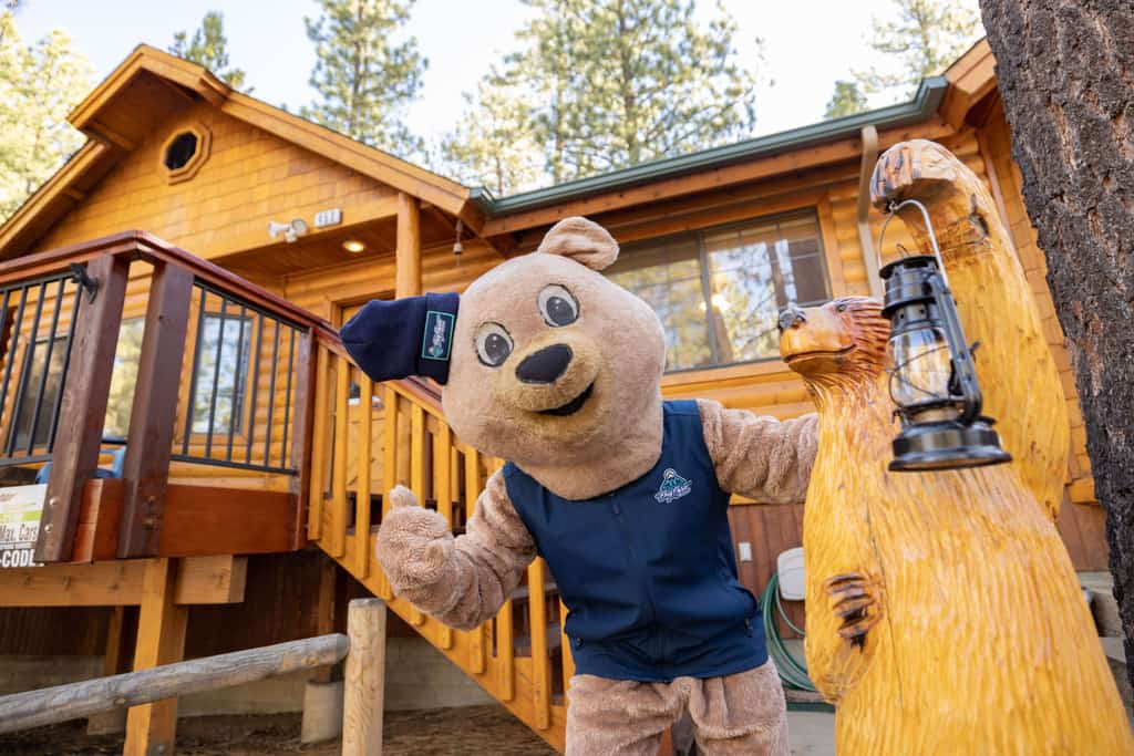 Retreat To Fox Farm Central Log Cabin Chalet at Big Bear