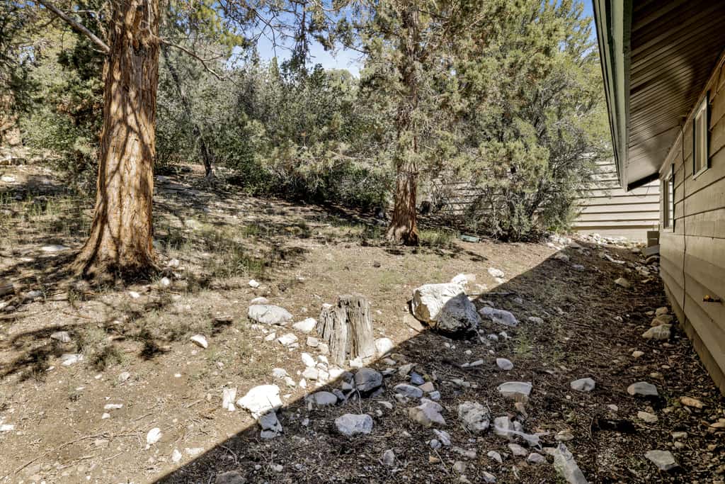 Shasta Mountain Cabin #1916