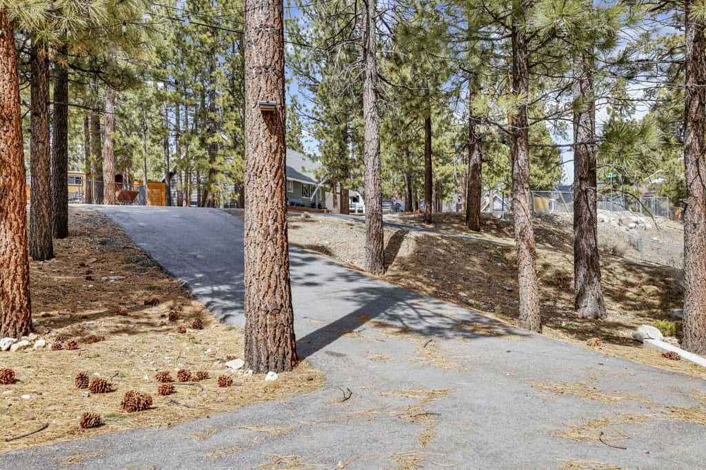 Bruin Chalet #2464
