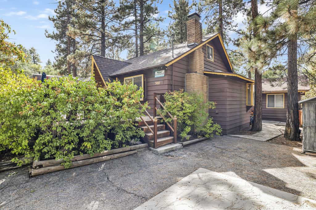 Sugar Bear Pines #2493
