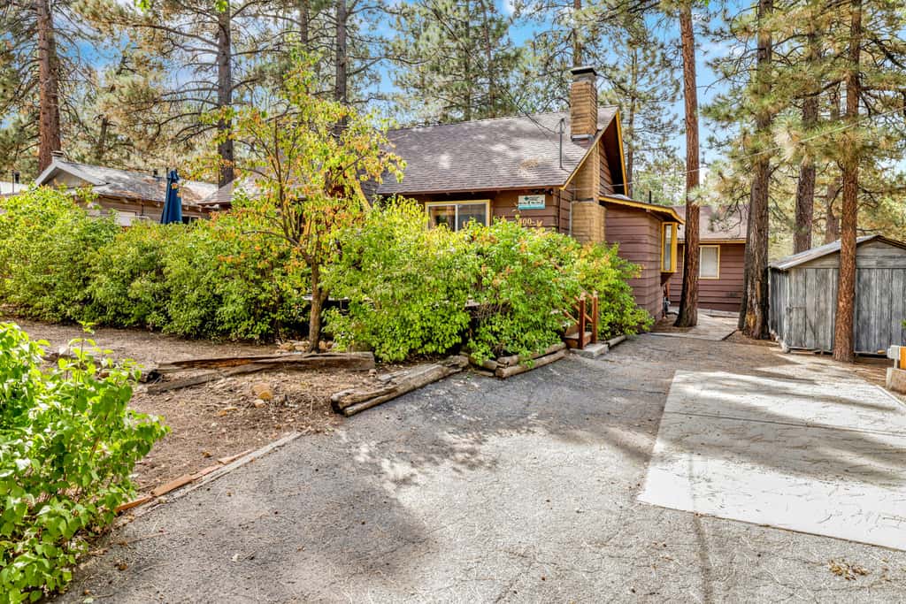 Sugar Bear Pines #2493