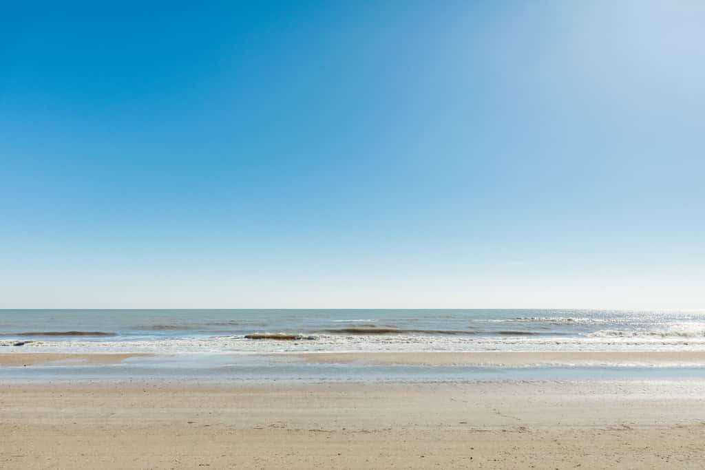 Cake by the Ocean at Seagrass