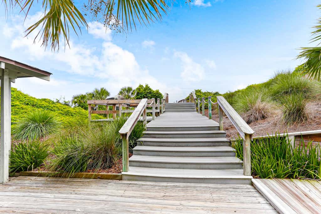 1149 Beach Walker