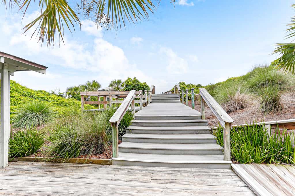 1135 Beach Walker