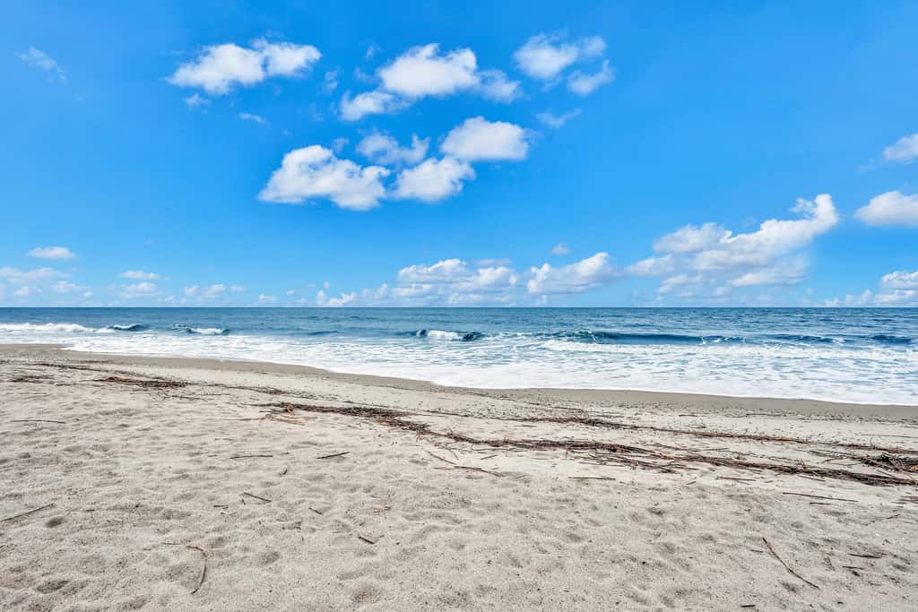 1676 Sea Dunes