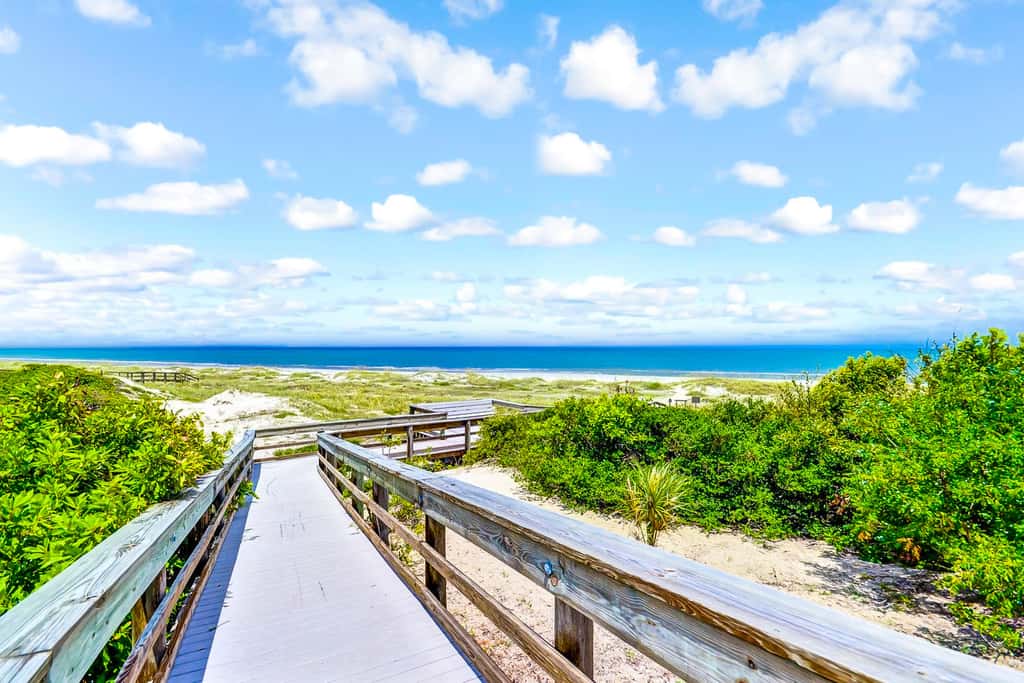 2022 Beach Wood