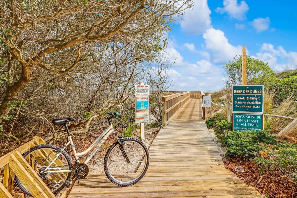 2022 Beach Wood