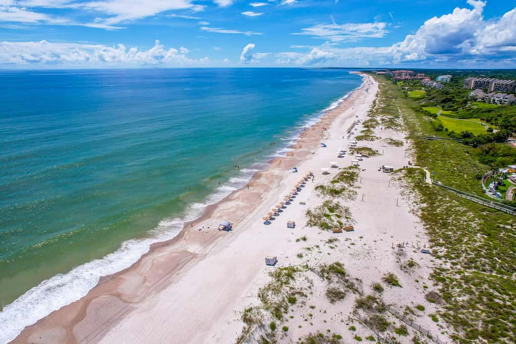 2022 Beach Wood