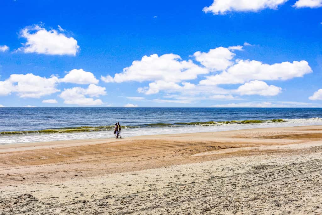 1166 Beach Walker