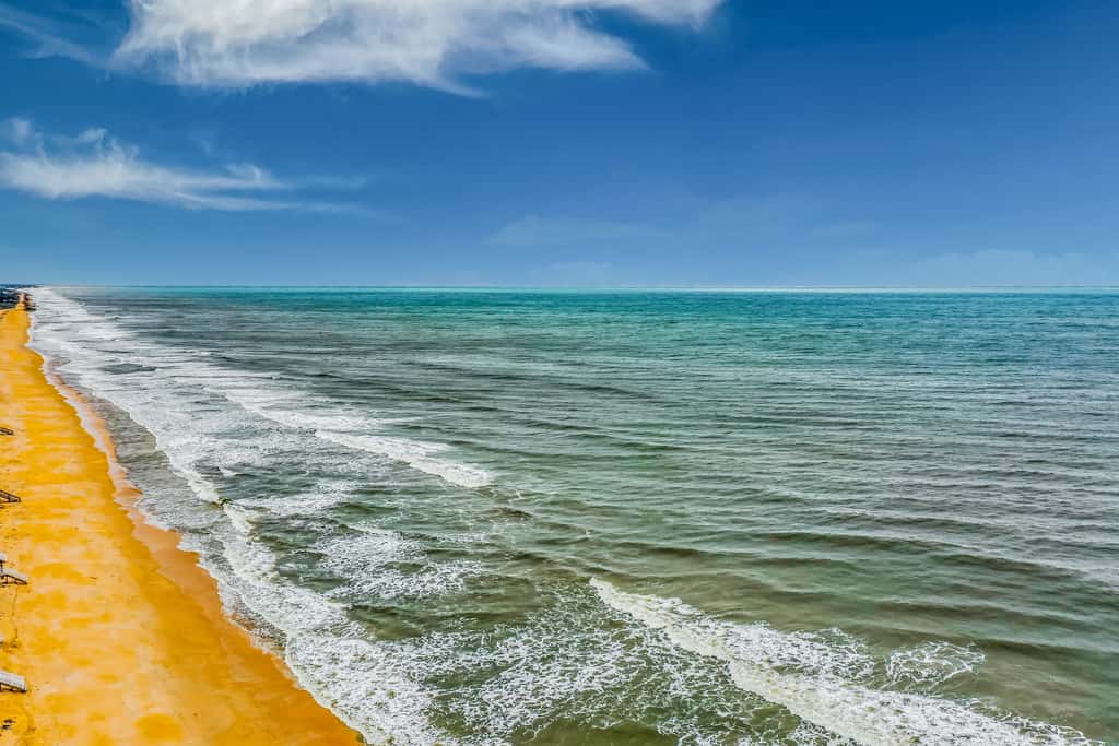 Beach Hammock Heaven