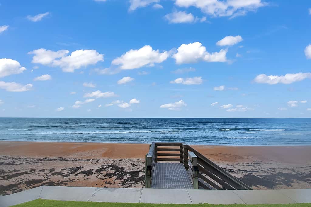 Beach Barn