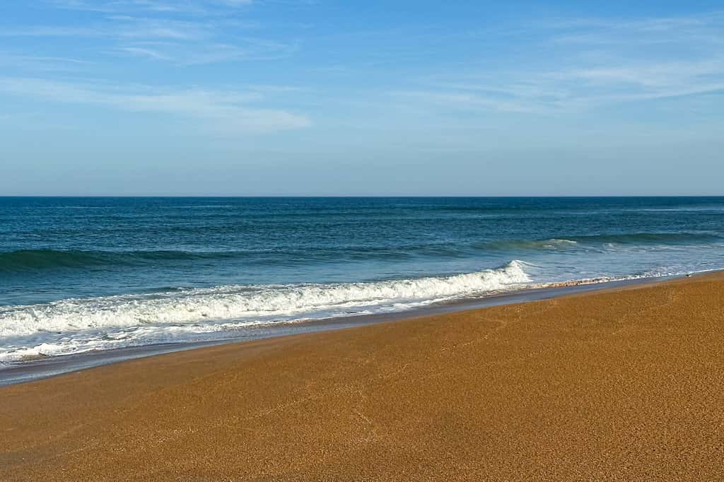 Ocean Breeze