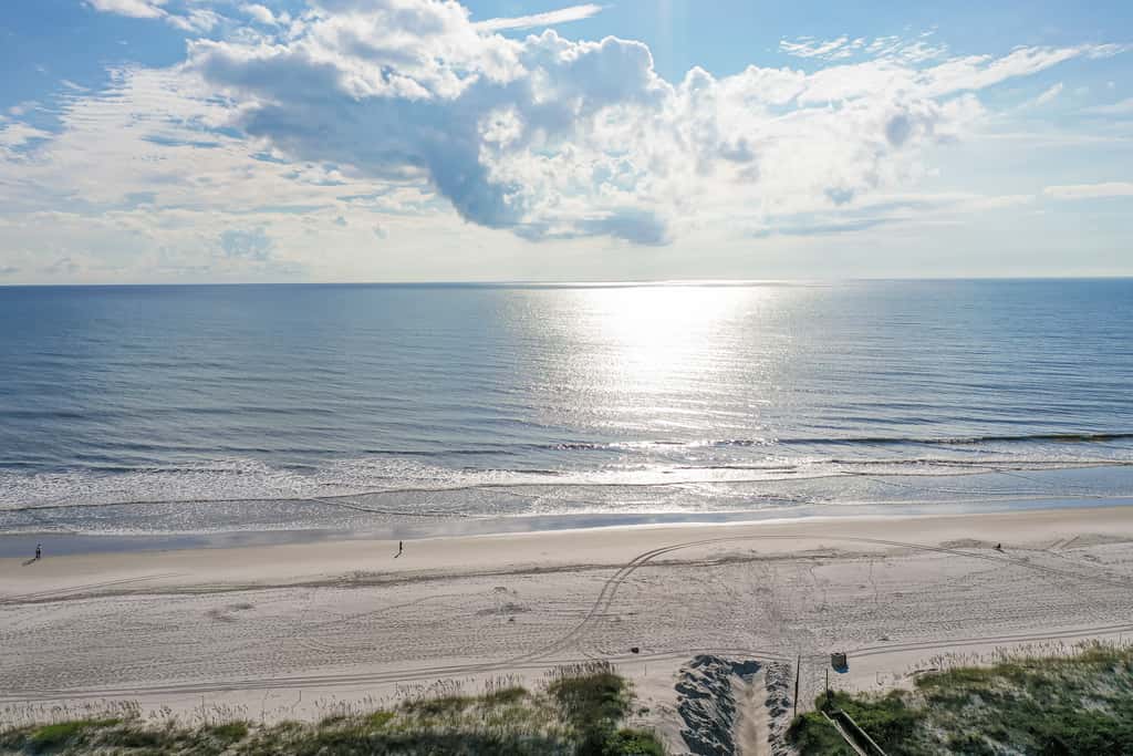 Joyful on Jax Beach