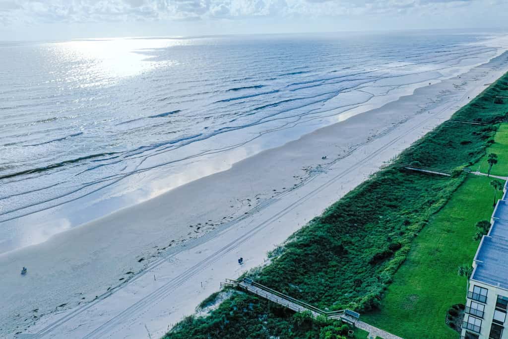 Sand Dollar II 408