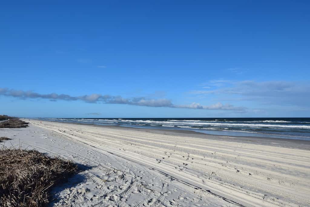 Sand Dollar II 408