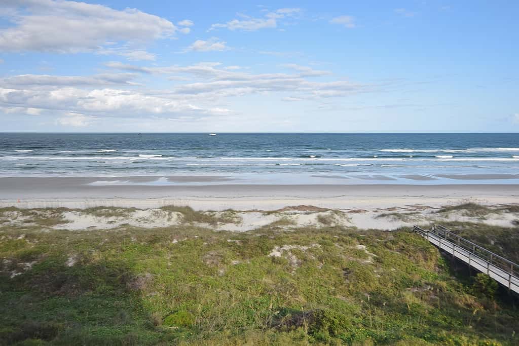 Sand Dollar II 408