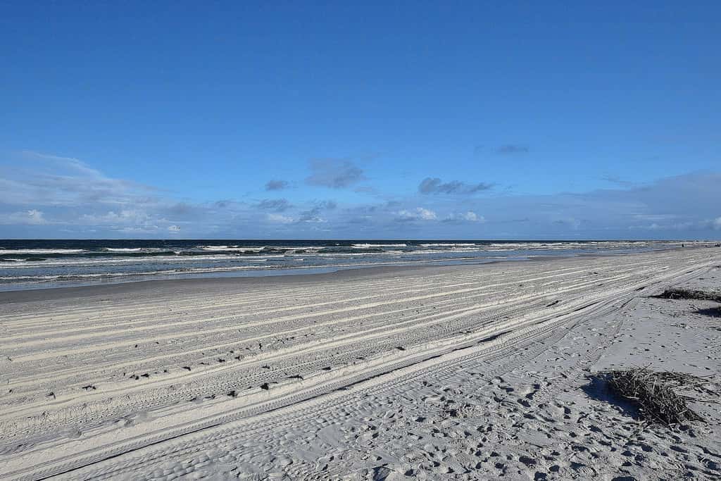 Sand Dollar II 408