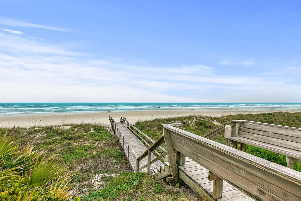 Sand Dollar I 108