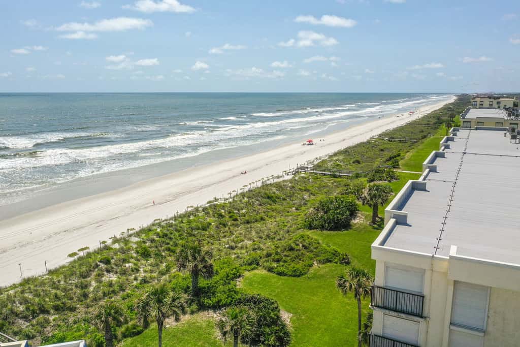 Sand Dollar I 108