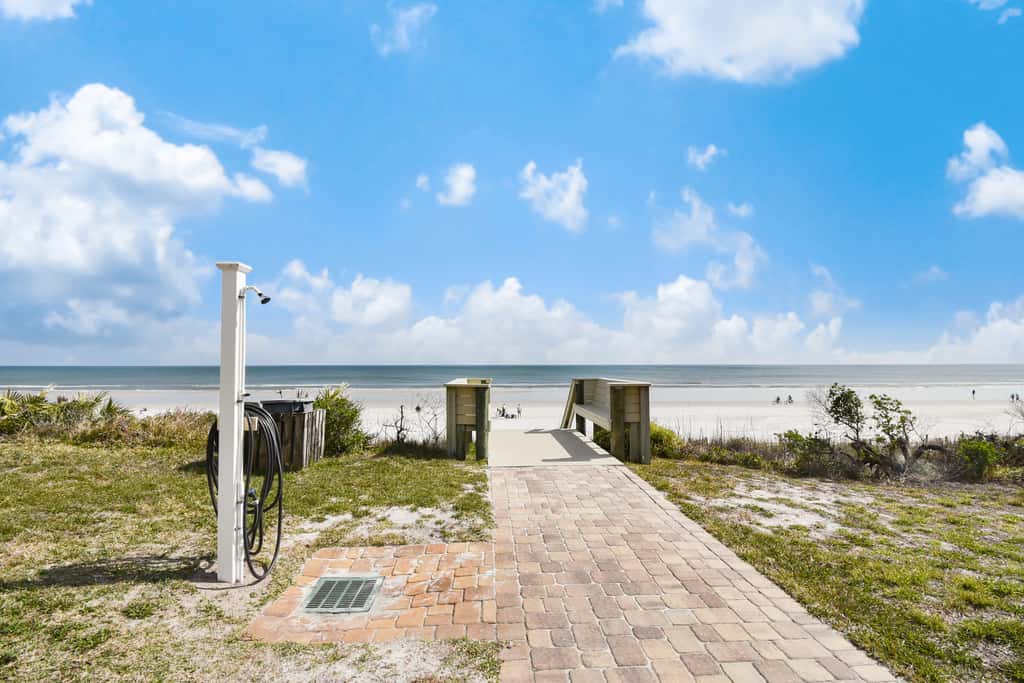 Sand Dollar I 108