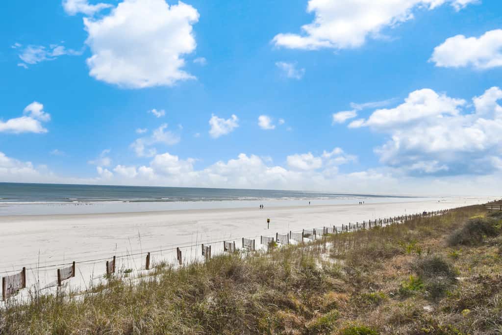 Sand Dollar I 108