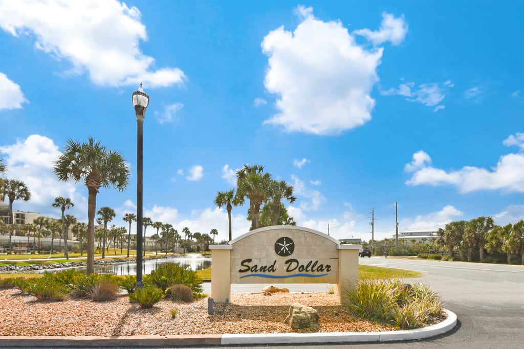 Sand Dollar I 108
