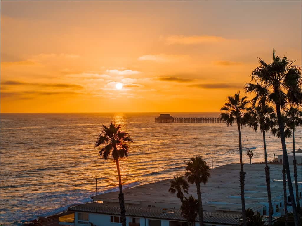California Dreamin' - O'side Palms