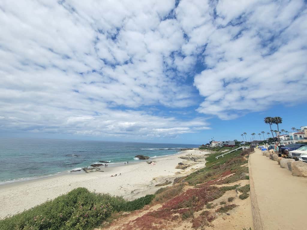 Playa Del Sur Getaway