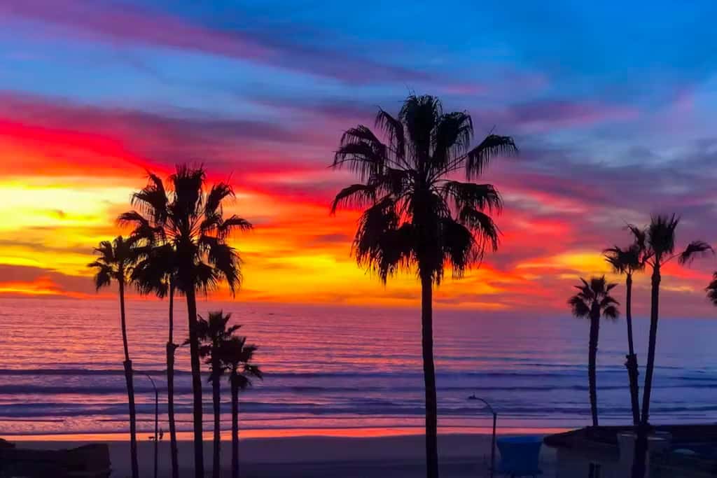 The Strand Oasis