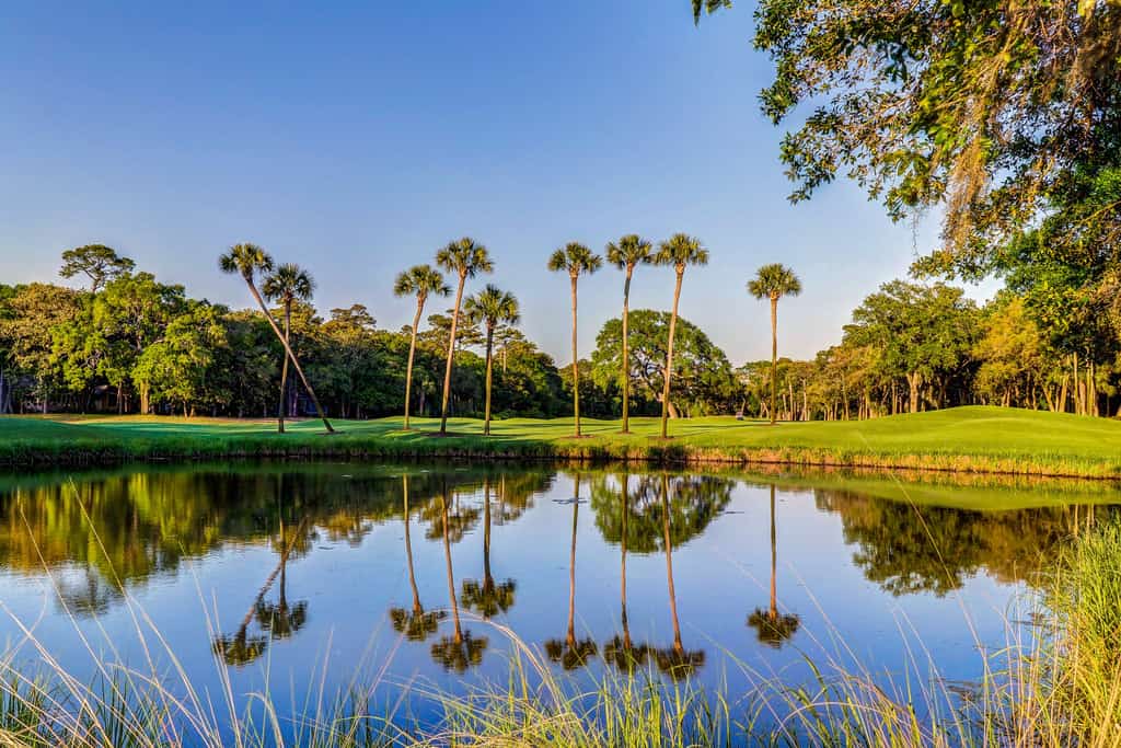 Sparrow Pond