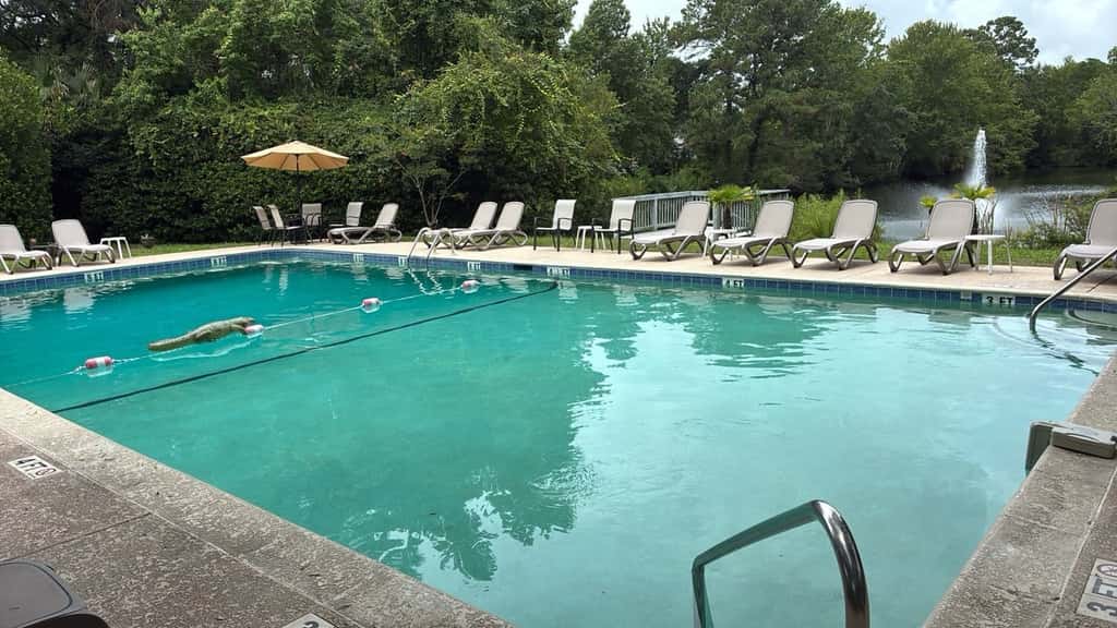 Stylish dog friendly, ground-floor getaway with pool, washer/dryer, & AC