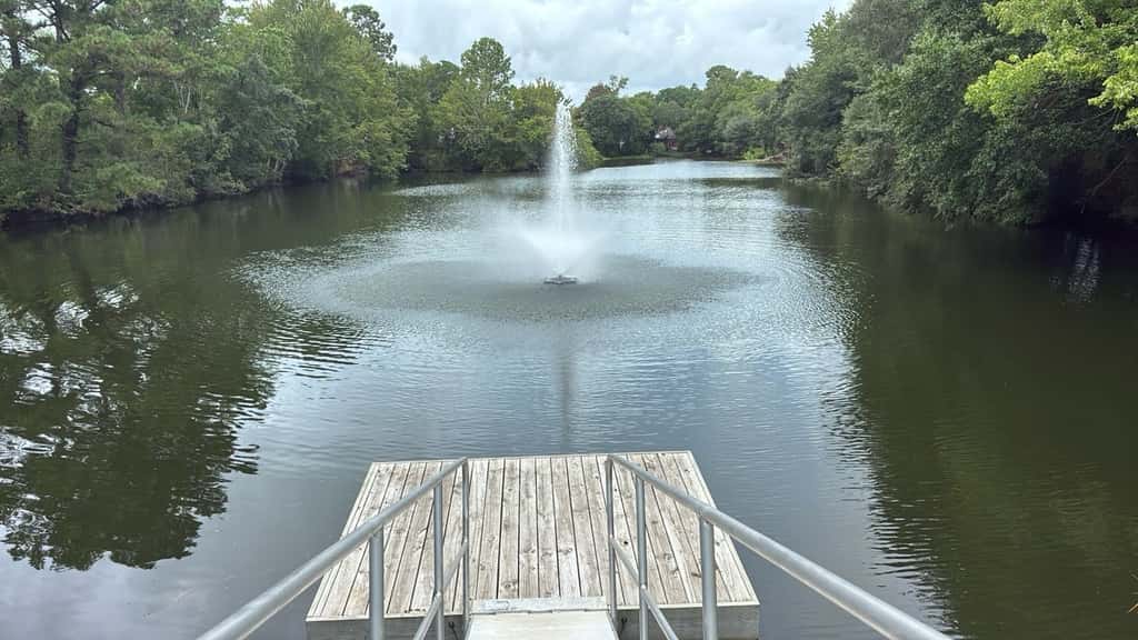 Stylish dog friendly, ground-floor getaway with pool, washer/dryer, & AC