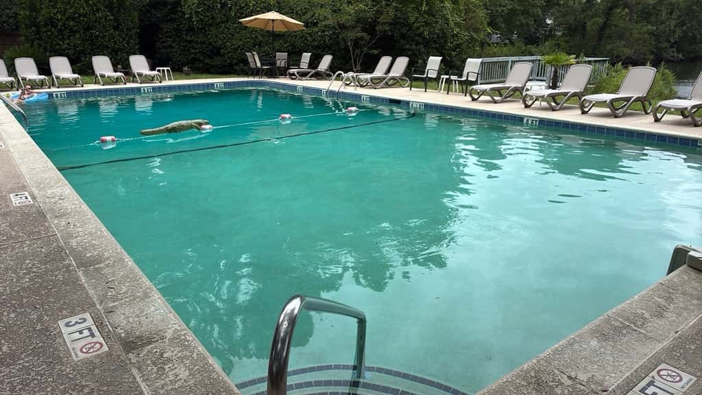 Stylish dog friendly, ground-floor getaway with pool, washer/dryer, & AC