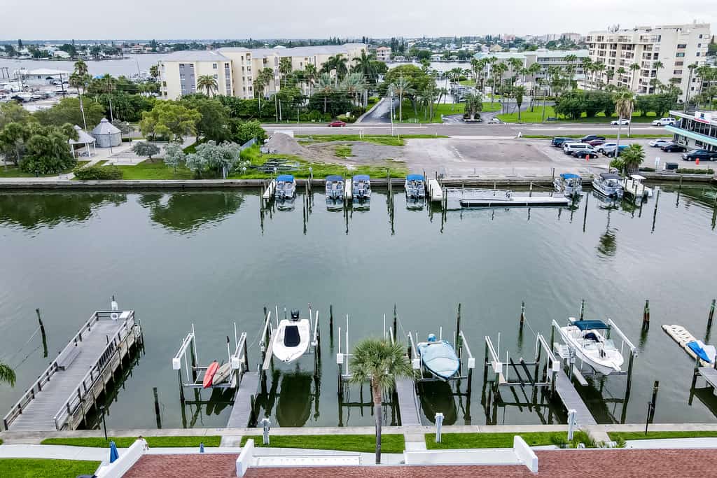 Dockside Destiny
