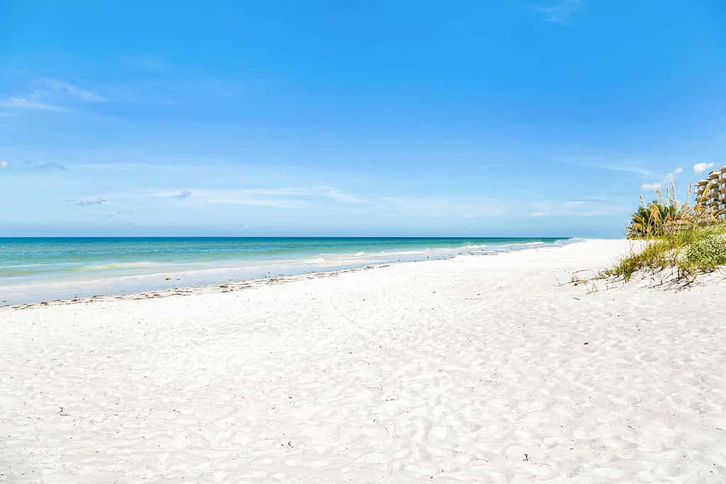 Bella Playa