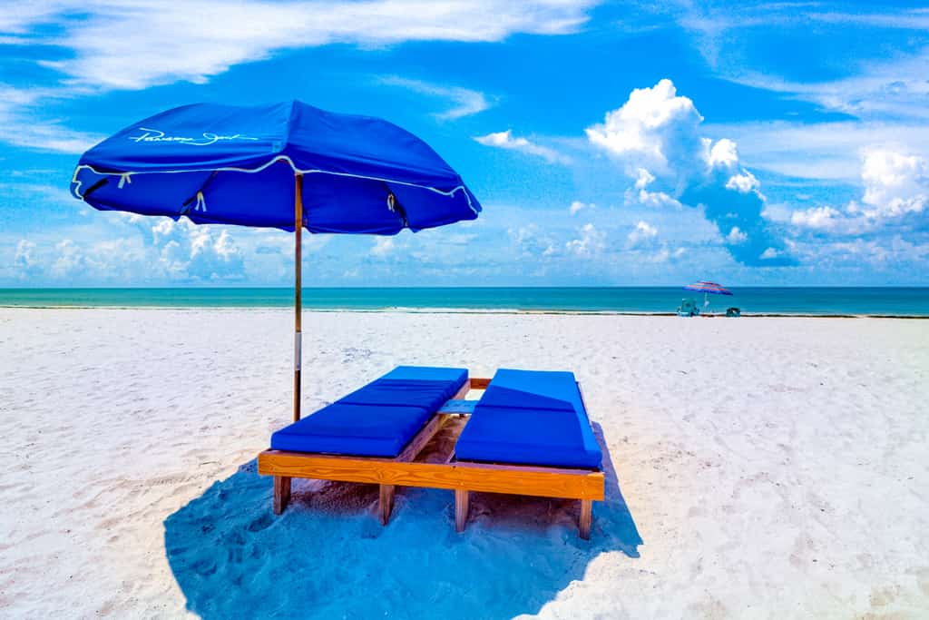 Beach Palms