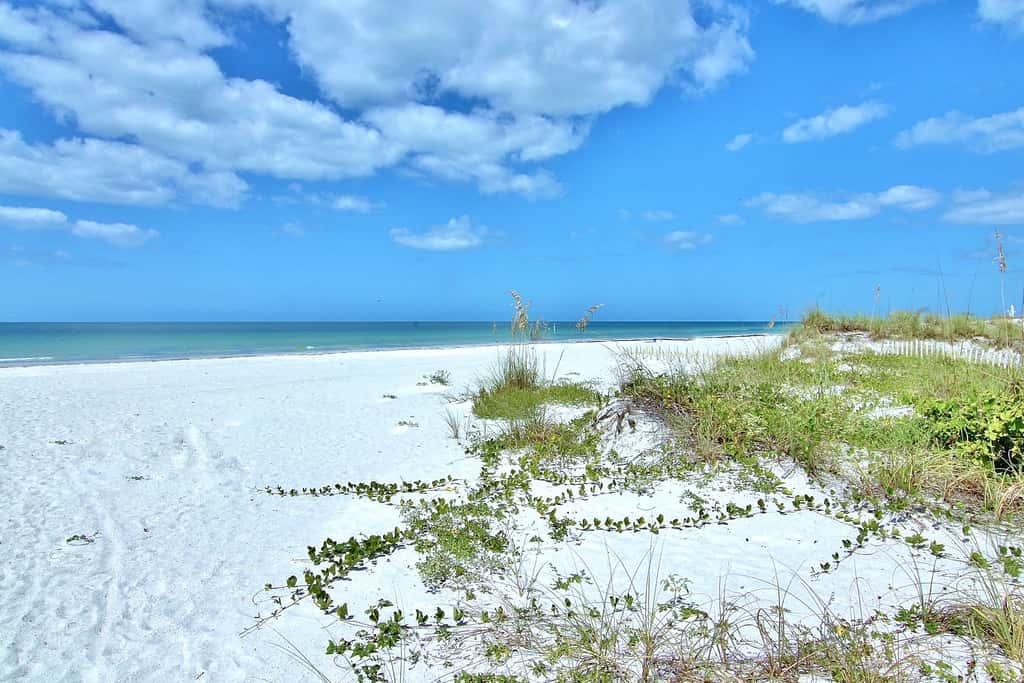 Beach condo with amazing views heated pool hot tub central AC and WD