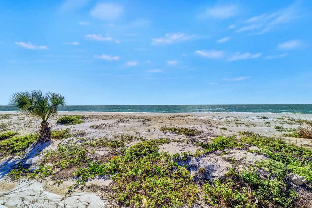 Dog friendly beachfront condo with pool hot tub tennis and AC snowbird friendly