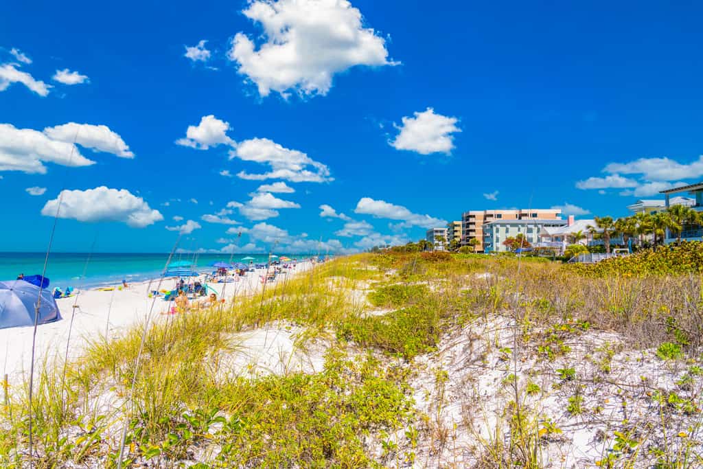 Custom Gulf Coast Gem