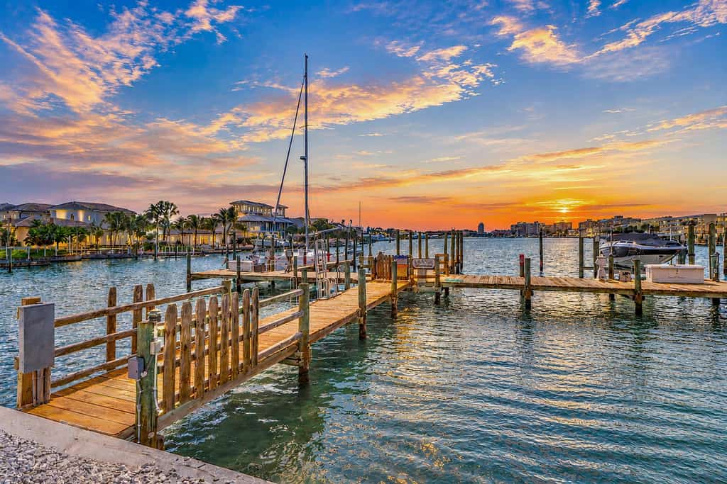 Dockside Dream