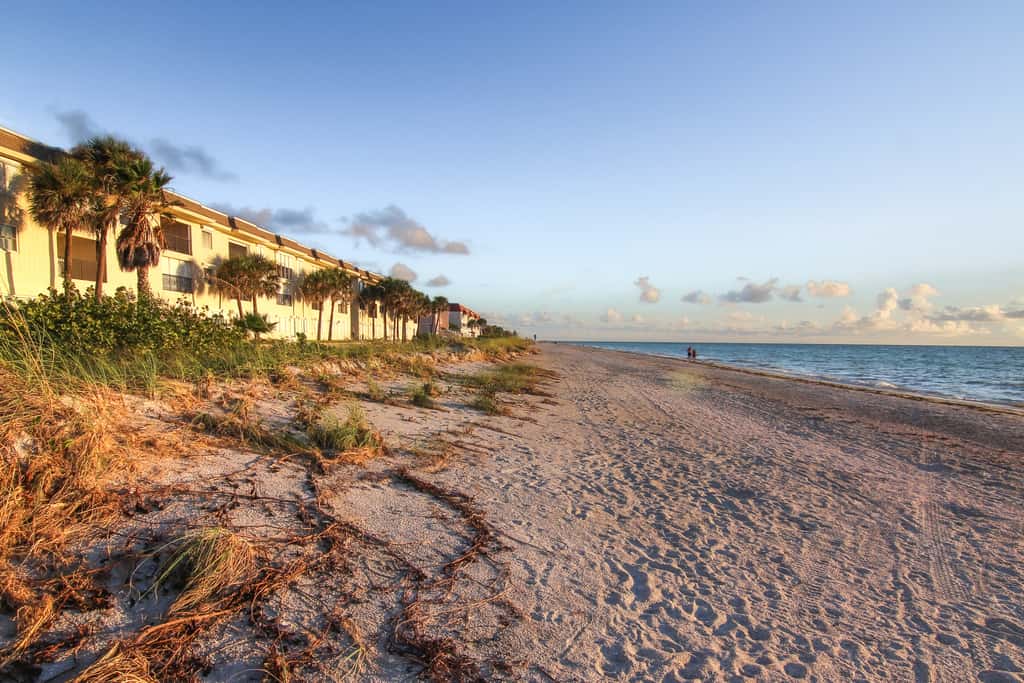 Gulf front condo with pool amazing views and central AC dog friendly