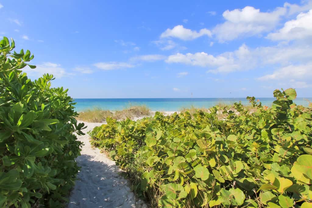 Gulf front condo with pool amazing views and central AC dog friendly