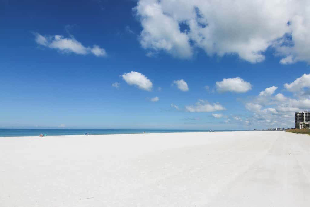 Gulf front condo with pool amazing views and central AC dog friendly