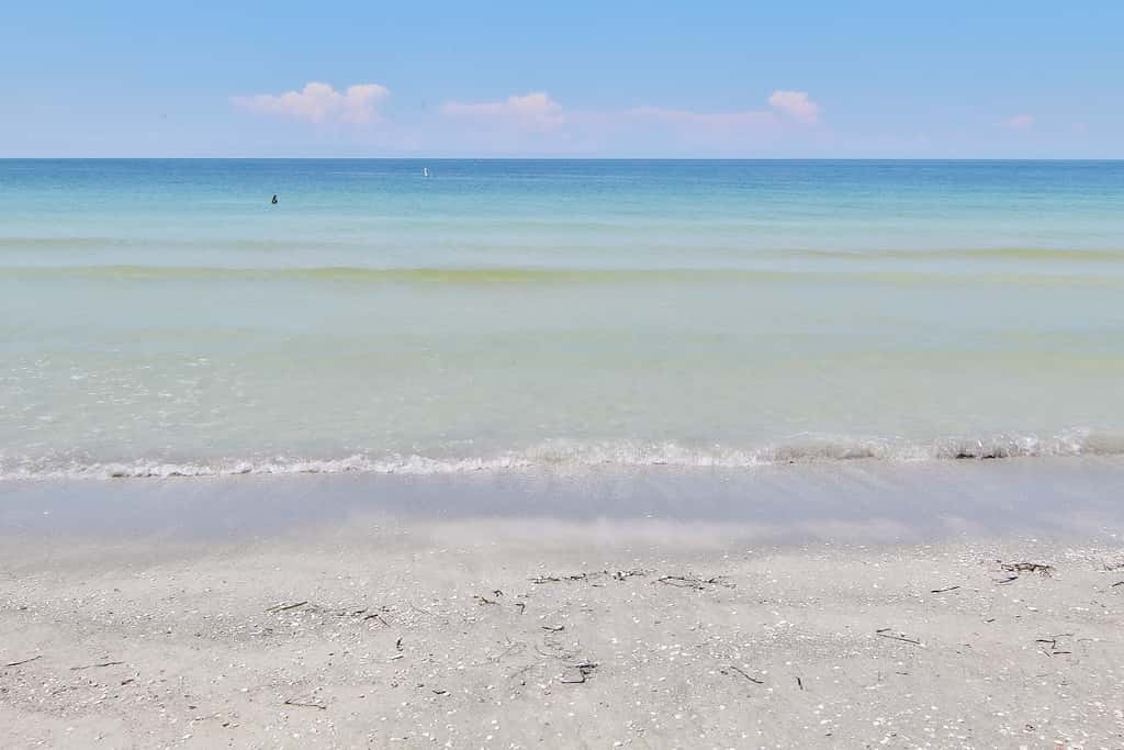 Gulf front condo with pool amazing views and central AC dog friendly
