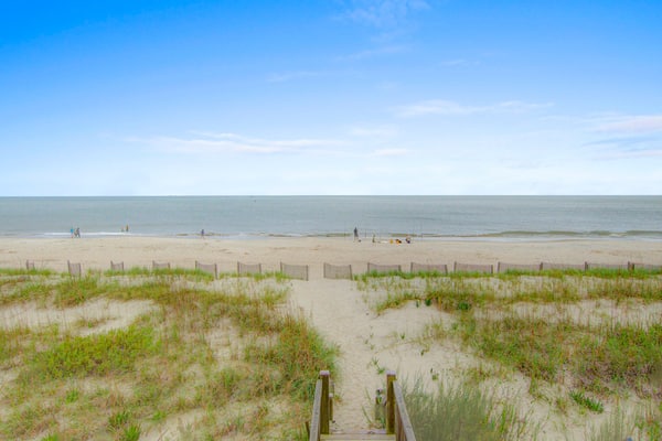 Oceanfront house with fireplace, central AC, W/D & outdoor shower - dog-friendly