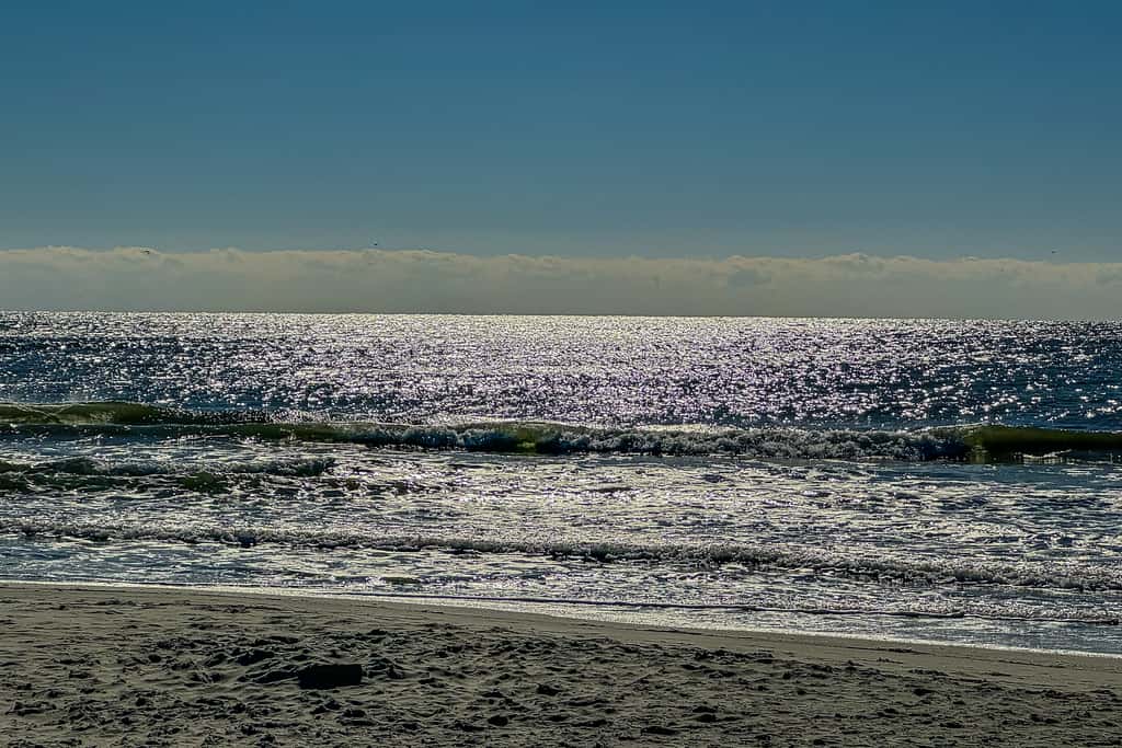 OIB57 The Turquoise Pearl