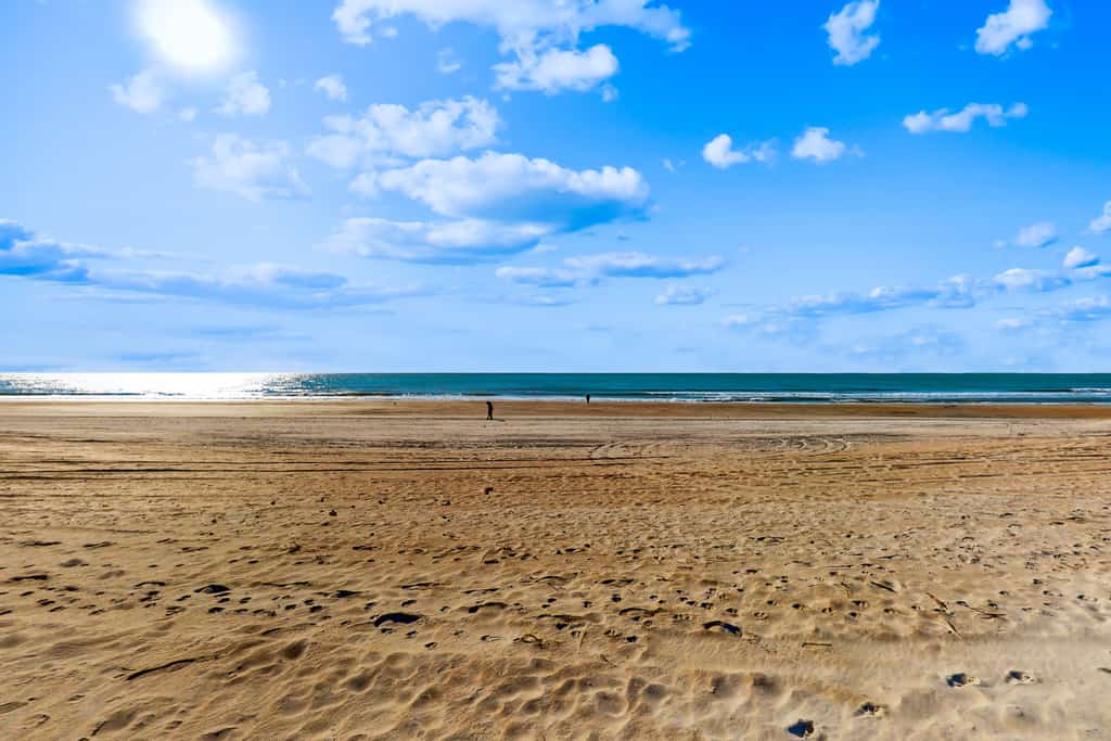Beautifully remodeled oceanfront condo with lovely views, pool access & W/D